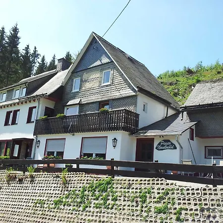 Penzion Landgasthof Nesselbach 3*