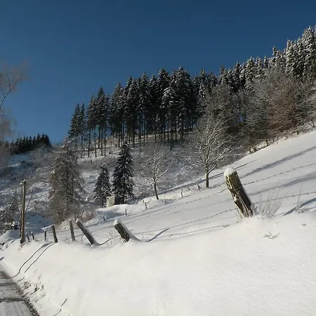 Penzion Landgasthof Nesselbach 3*