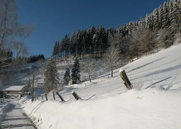 Konukevi Landgasthof Nesselbach 3*