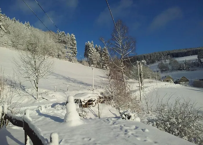 Landgasthof Nesselbach Konukevi